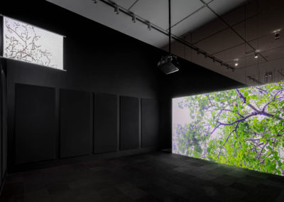 Suzanne Morrissette, "Study for Knowing" (left) and "poplar/poplar" (right), 2021. Photograph by Toni Hafkensheid.