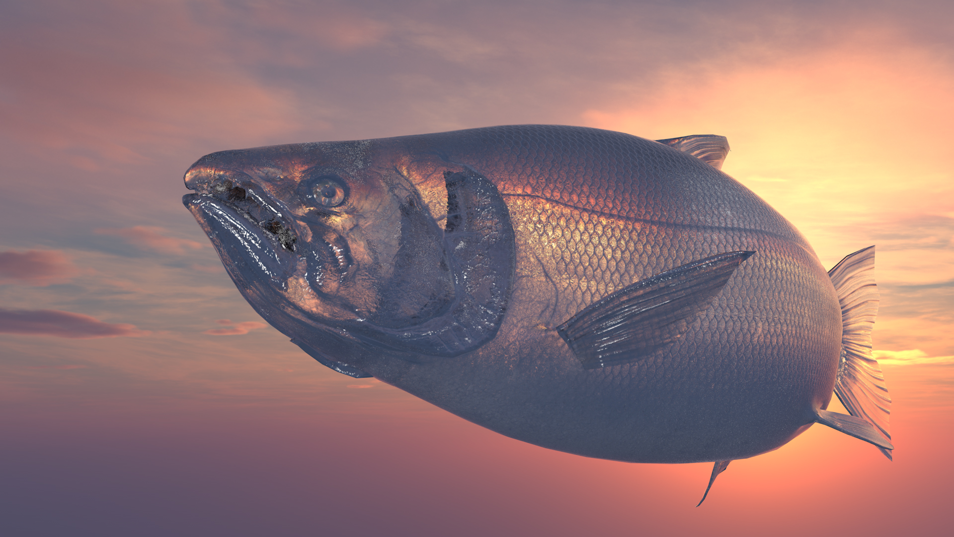 A digitally rendered, semi-transparent fish appears suspended in a pastel-coloured sky in sunset.