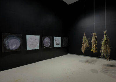 Installation view of Lou Sheppard, "Rights of Passage". Photograph by Toni Hafkenscheid.