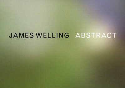 James Welling: Abstract
